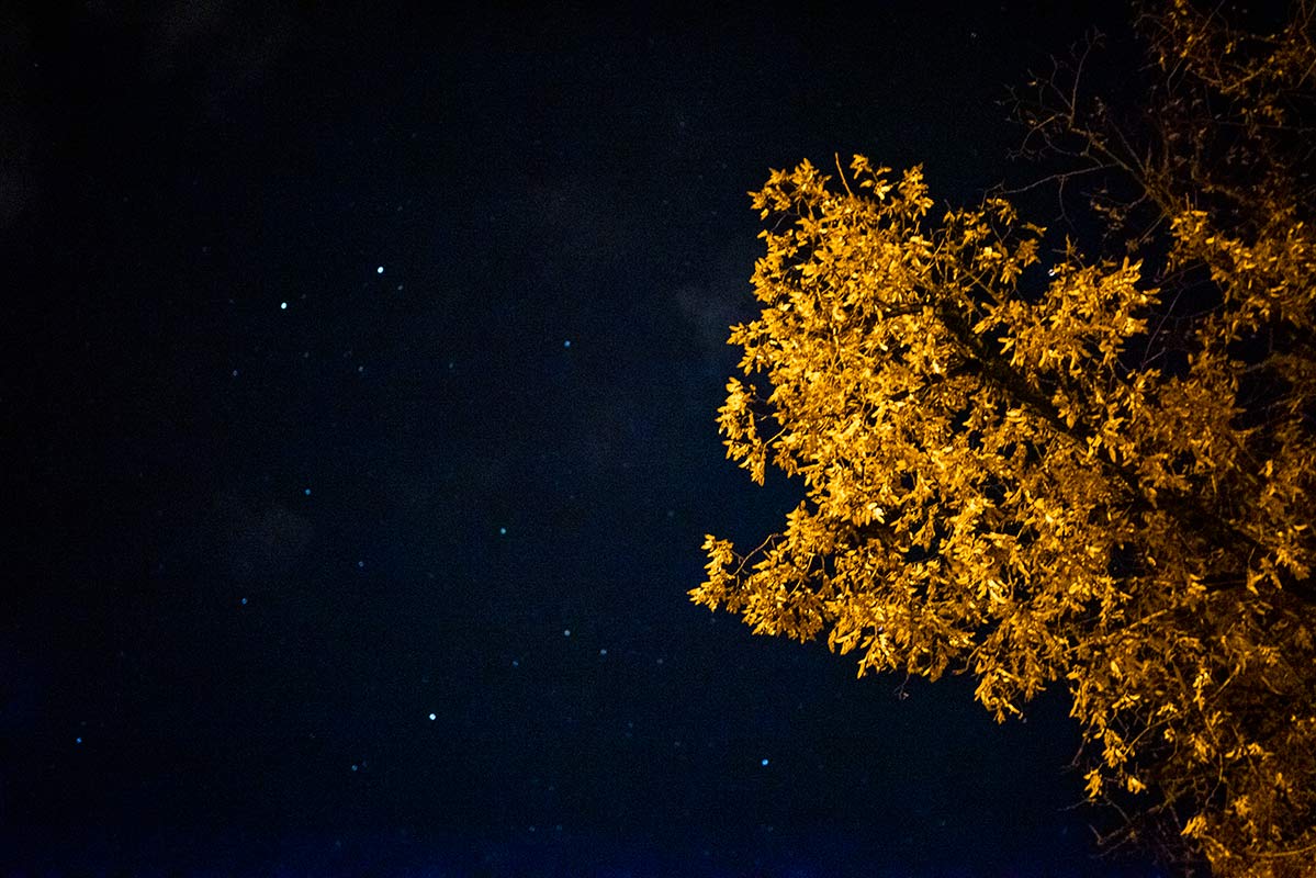 eachdaycounts sony Fotografie Fotograf Dominik Dirschmid Sternenhimmel Baum Natur challenge jeden tag ein foto sigma art 35 vollformat fullframe himmel