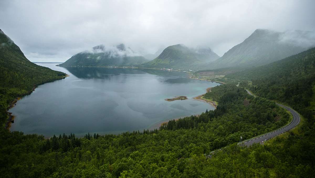 Projekte Norwegen Landschaft Natur Dominik Dirschmid Fotografie My framed Art Myframed MyframedArt Foto Bild München Website Fjord Straße Wald Nebel Lofoten