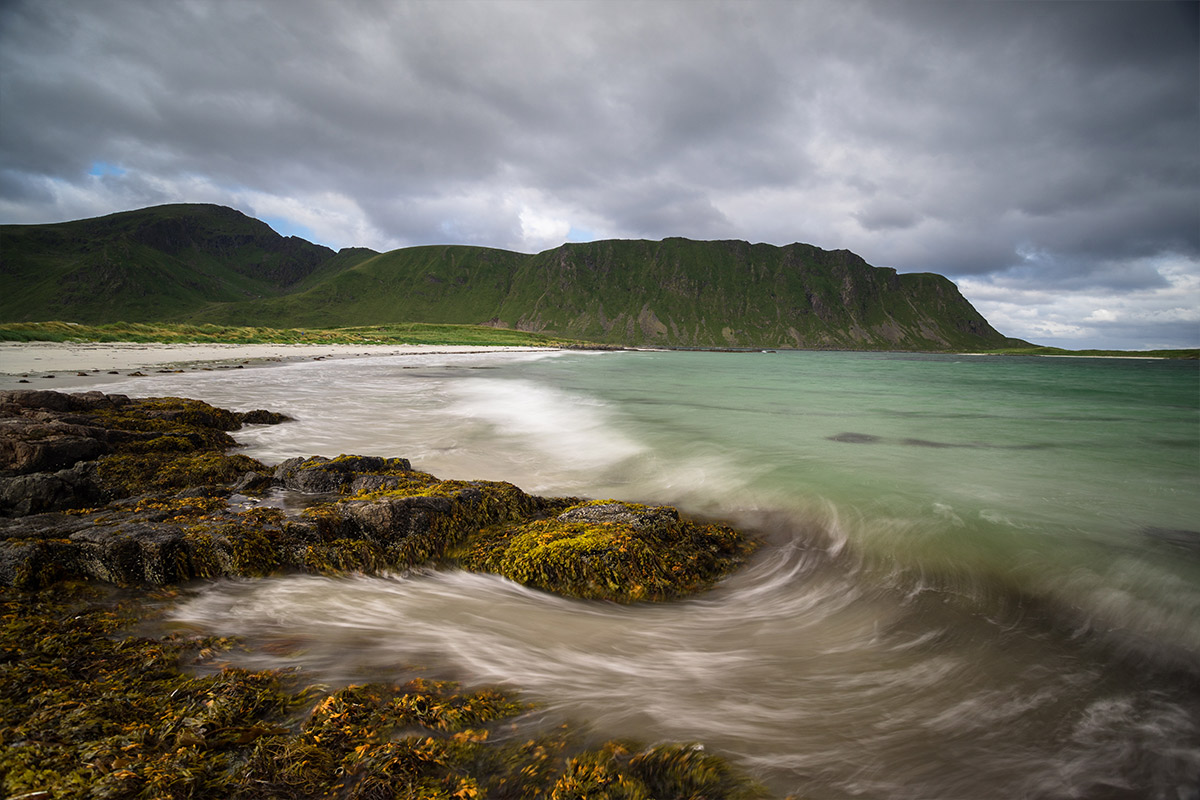 Projekte Norwegen Landschaft Natur Dominik Dirschmid Fotografie My framed Art Myframed MyframedArt Foto Bild München Website Natur Meer Algen Küste Strand Welle