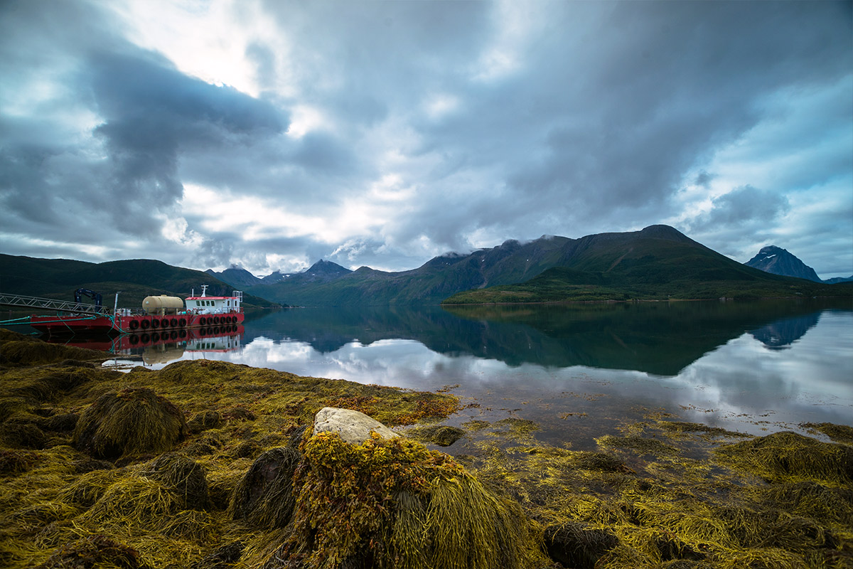 Projekte Norwegen Landschaft Natur Dominik Dirschmid Fotografie My framed Art Myframed MyframedArt Foto Bild München Website Natur Meer Fjord Algen Schiff Wolken Himmel