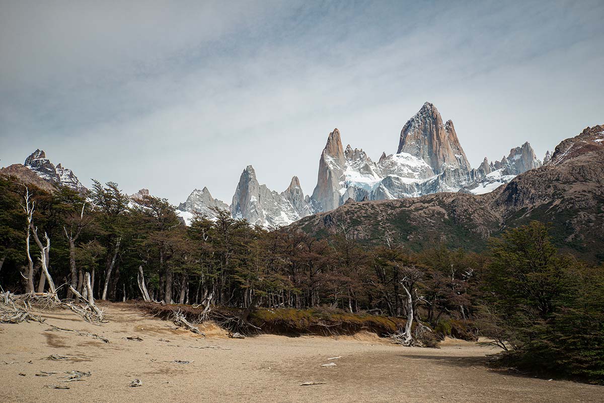 Projekte Patagonien Landschaft Südamerika Dominiik Dirschmid Fotografie Fotograf München Munich Photo Foto My framed Art Myframed Art myframedart Website Natur Fitz Roy Berge Sand Wald Lichtung Argentinien Berg Lichtung