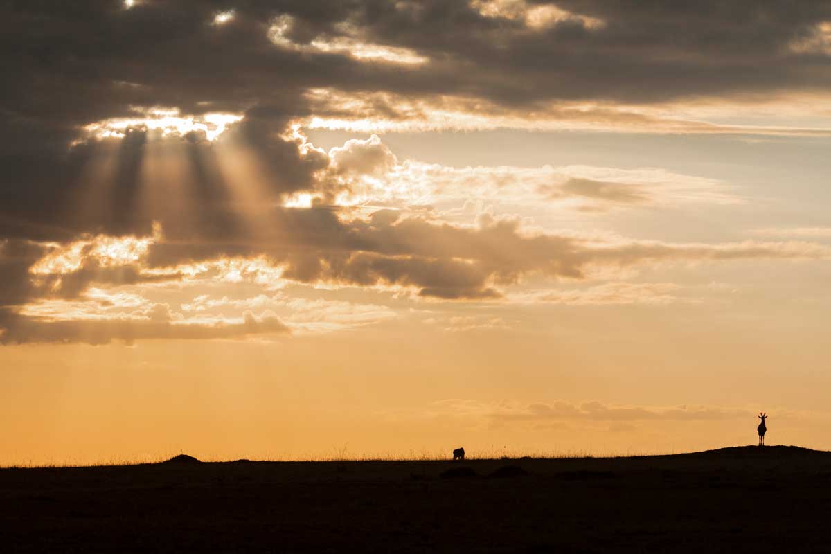 Projekte Kenia Landschaft Dominik Dirschmid Fotografie Fotograf Foto Natur Steppe Wolke Wolkendurchbruch Impalla Sillhuette Sonnenuntergang