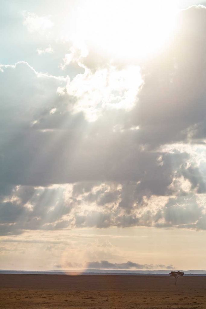 Projekte Kenia Landschaft Dominik Dirschmid Fotografie Fotograf Foto Natur Steppe Wolke Wolkendurchbruch Sonne Flair Sonne Baum