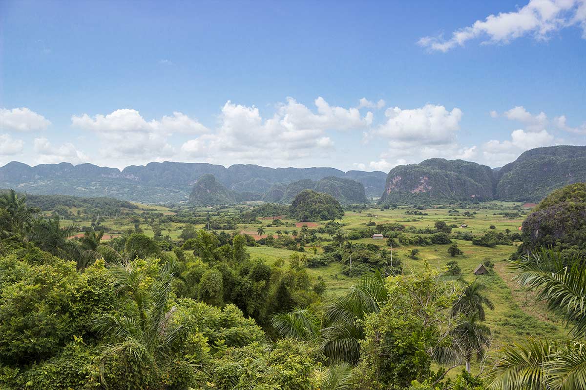 Projekte MyframedArt Myframed My framed Art Dominik Dirschmid Fotografie Fotograf Kuba Cuba Foto Landschaft NAtur Grün Palmen Reis Felder Feld Berge Himmel Wolken