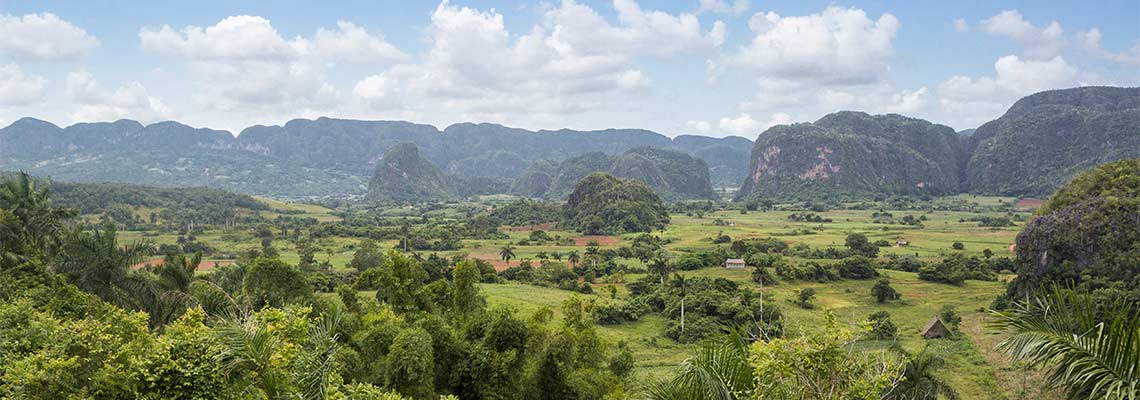 Vorschau Projekte MyframedArt Myframed My framed Art Dominik Dirschmid Fotografie Fotograf Kuba Cuba Foto Landschaft NAtur Grün Palmen Reis Felder Feld Berge Himmel Wolken