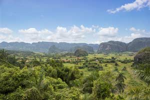 Vorschau Projekte MyframedArt Myframed My framed Art Dominik Dirschmid Fotografie Fotograf Kuba Cuba Foto Landschaft NAtur Grün Palmen Reis Felder Feld Berge Himmel Wolken